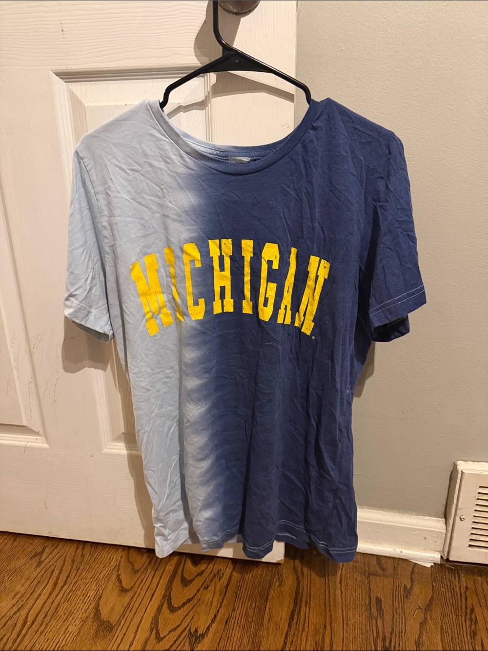 Michigan Two-Tone Blue Graphic Short-Sleeve Tee